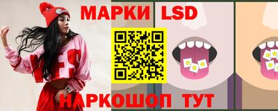 стафф Нальчик