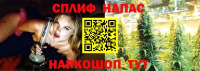 мяу мяу мука Нарткала