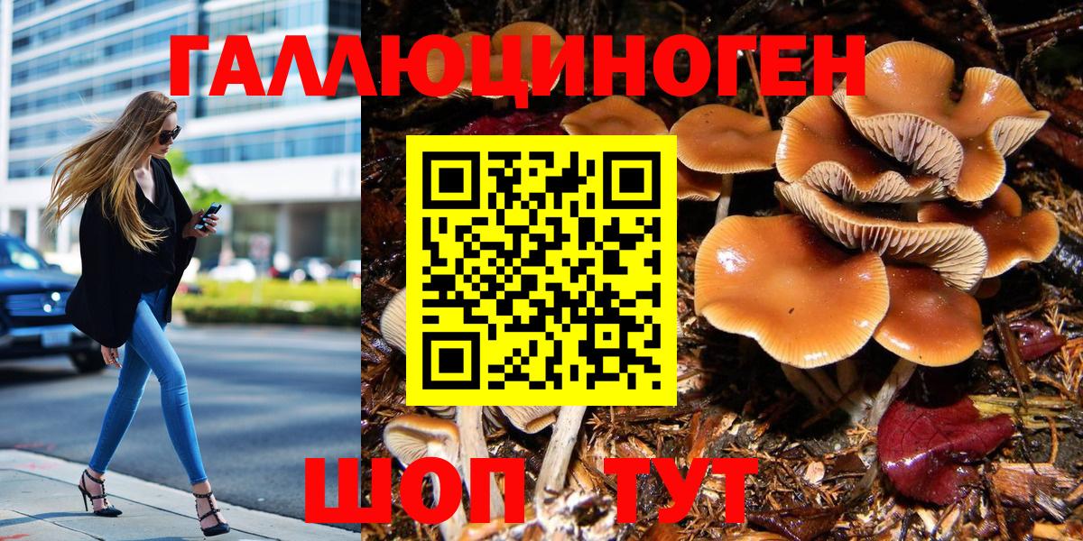 Галлюциногенные грибы Magic Shrooms  Вход с VPN  Геленджик 